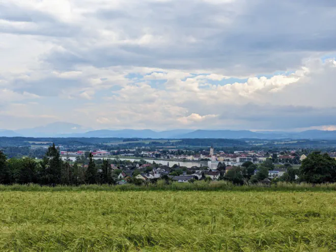 Blick nach Ybbs von Anhöhe über Persenbeug, davor Getreidefeld.