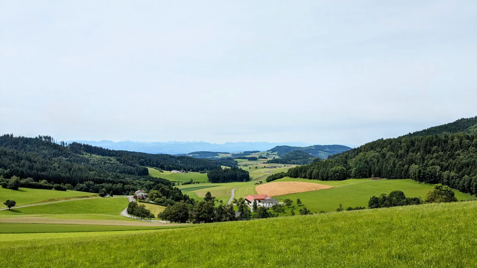 Waldviertel
