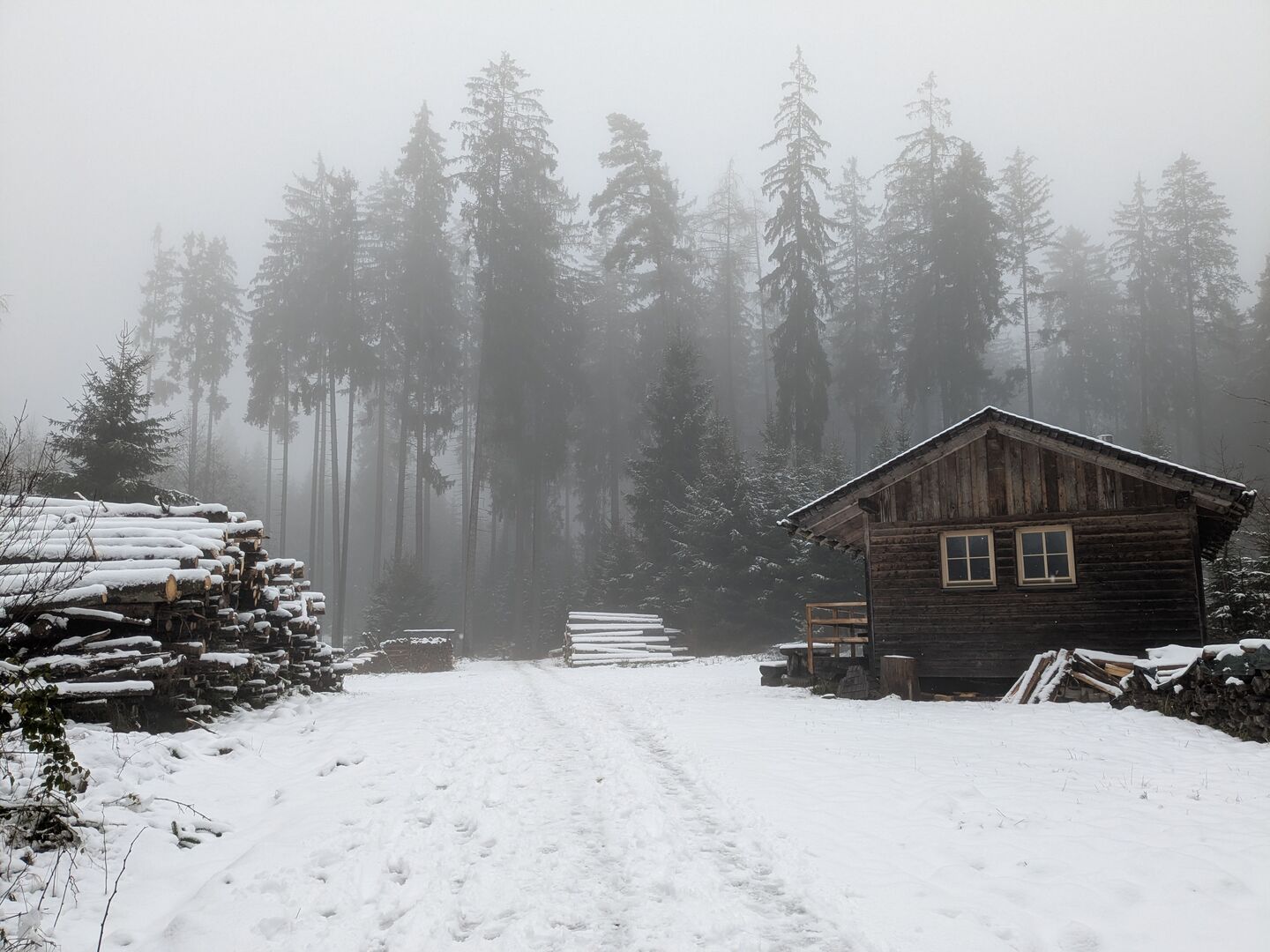 Holzfällerhütte im Schnee im Moorwald bei Leonfelden.
