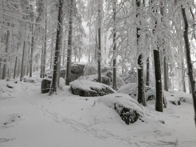 Mushroom stone covered with snow in the forest.