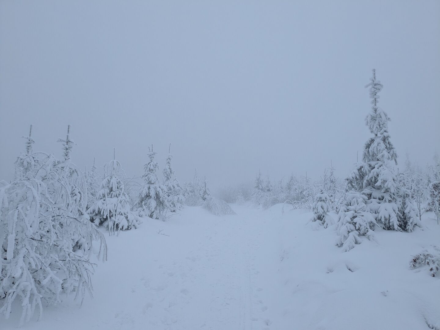 Schneelandschaft im Nebel am Sternstein.