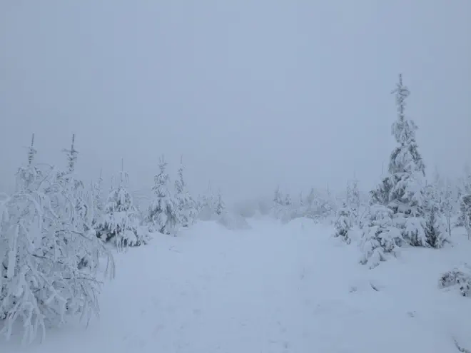 Snowy landscape in the fog on the Sternstein.