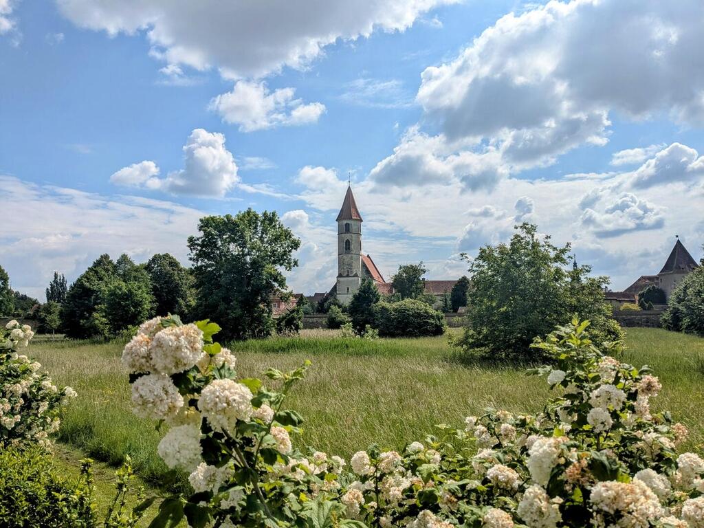 Stadtbefestigung Bad Radkersburg mit Graben im Vordergrund und Stadtpfarrkirche.