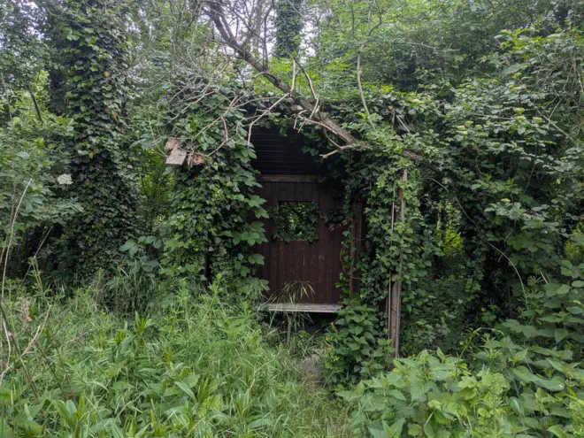 Old border post hut in the Mura floodplains.