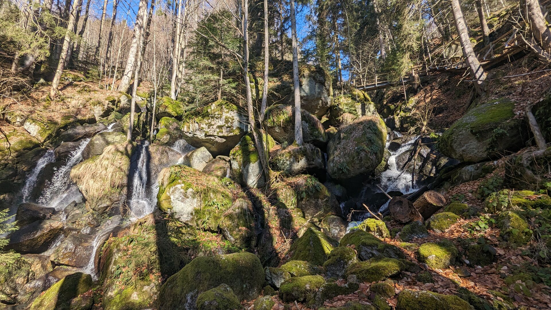 Mystischer Druidenweg
