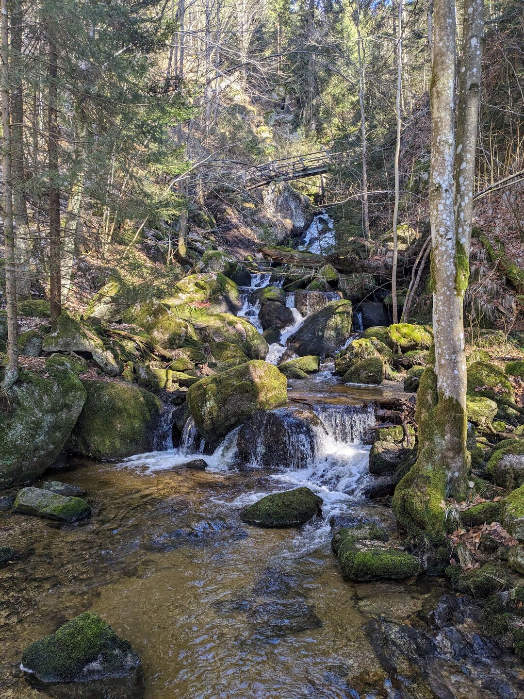 Wasser stürzt die Ysperklamm durch eine Brücke hinunter.