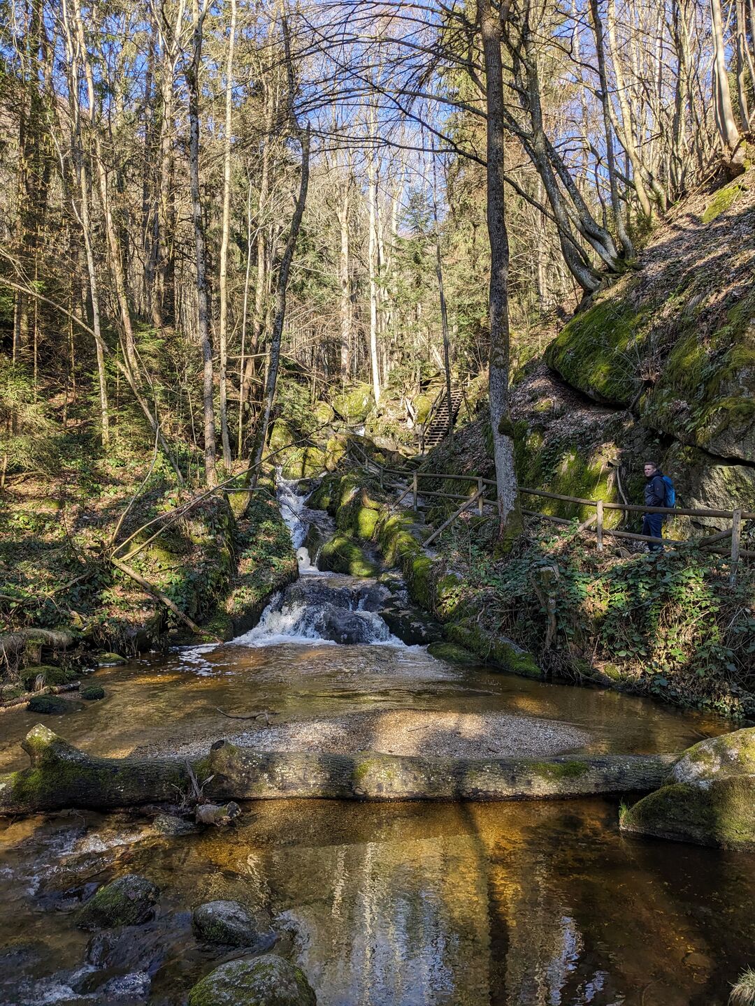 Wasserfall in der Ysperklamm.