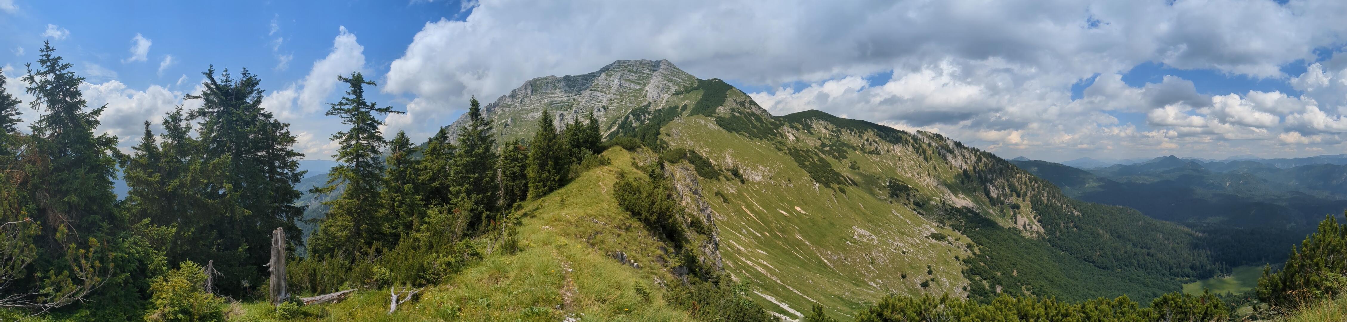 Panorama über Wildnisgebiet Dürrenstein