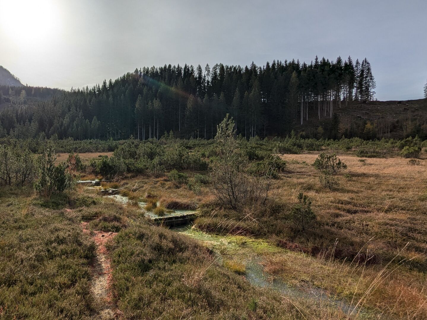 Hochmoor Leckermoor
