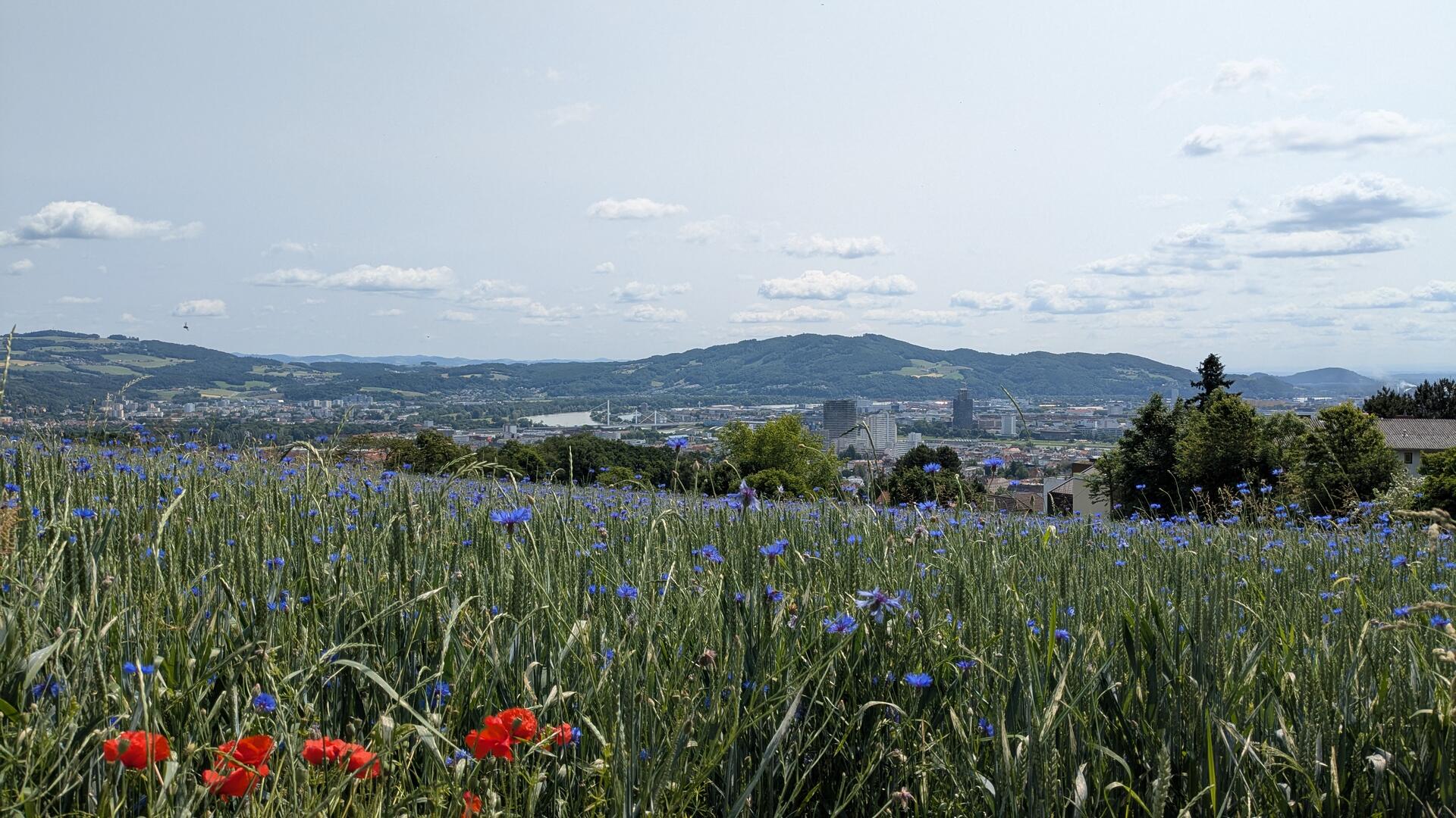 Pöstlingberg