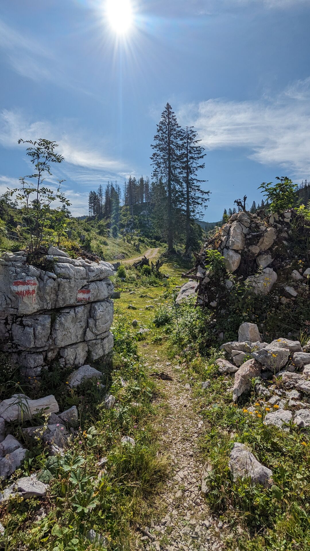 Steinbrocken deuten den Weg zur Ybbstaler Hütte an.