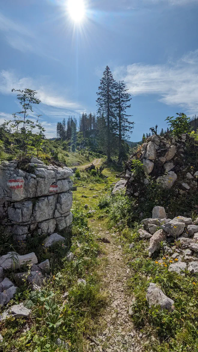 Steinbrocken deuten den Weg zur Ybbstaler Hütte an.