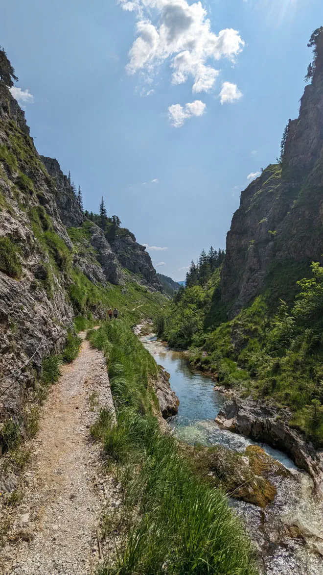 Along the Ötscherbach in the rushing gorge.