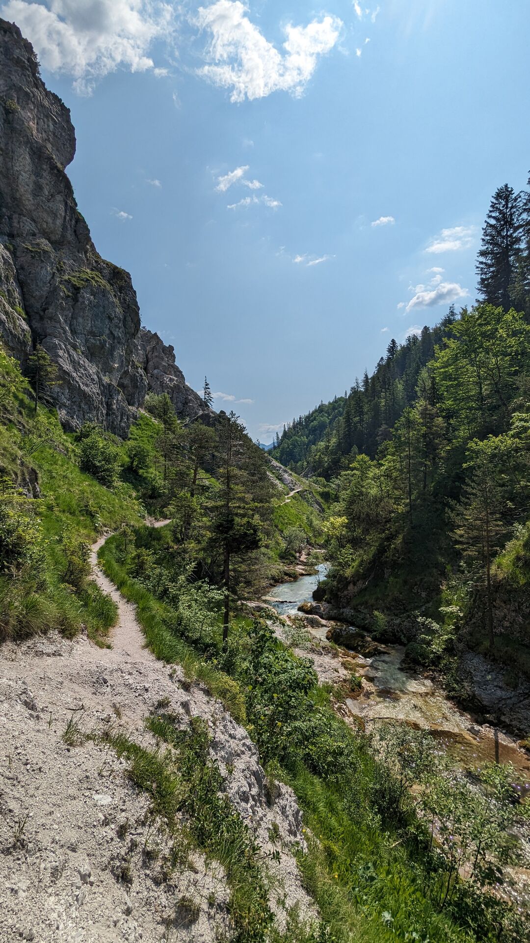 Wanderpfad in den Ötschergräben entlang des blauen Ötscherbaches.