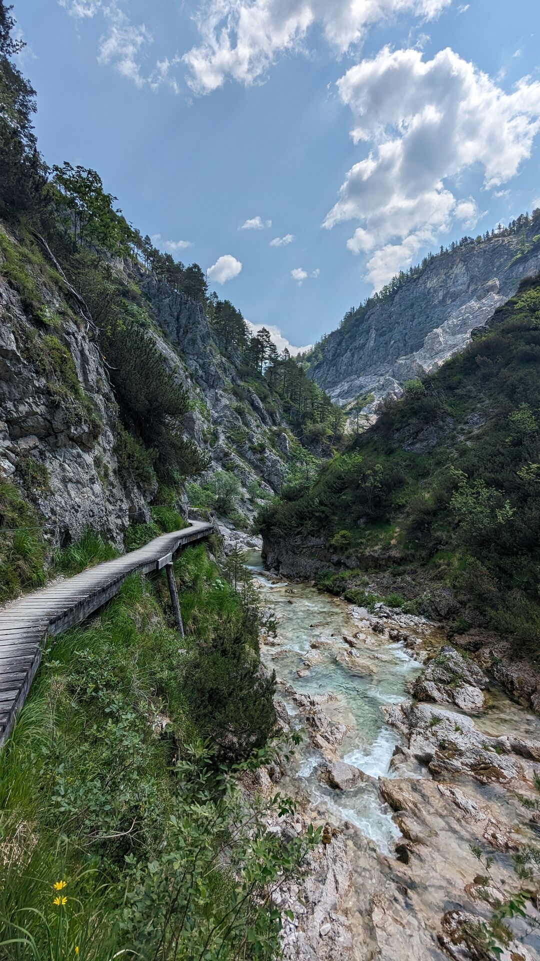 Wanderpfad in den vorderen Ötschergräben.