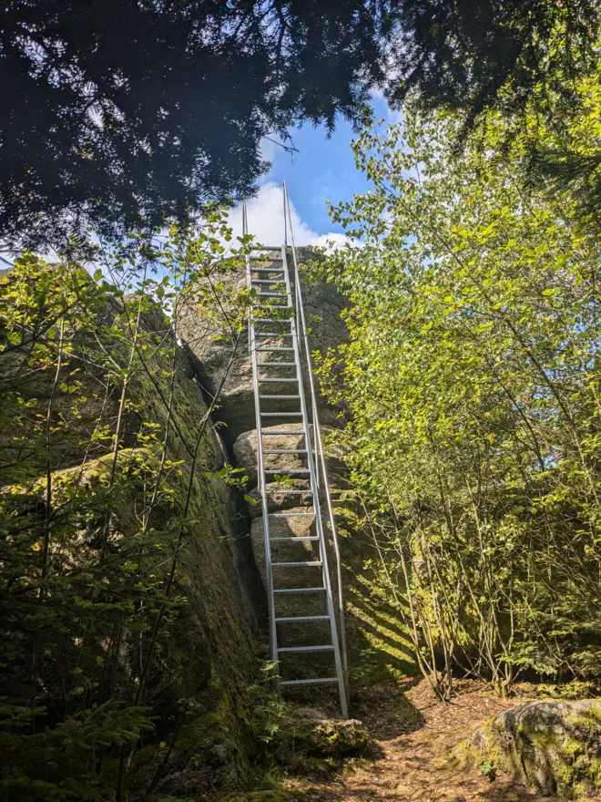 Leiter hinauf auf den Einsiedlerstein mitten im Wald.