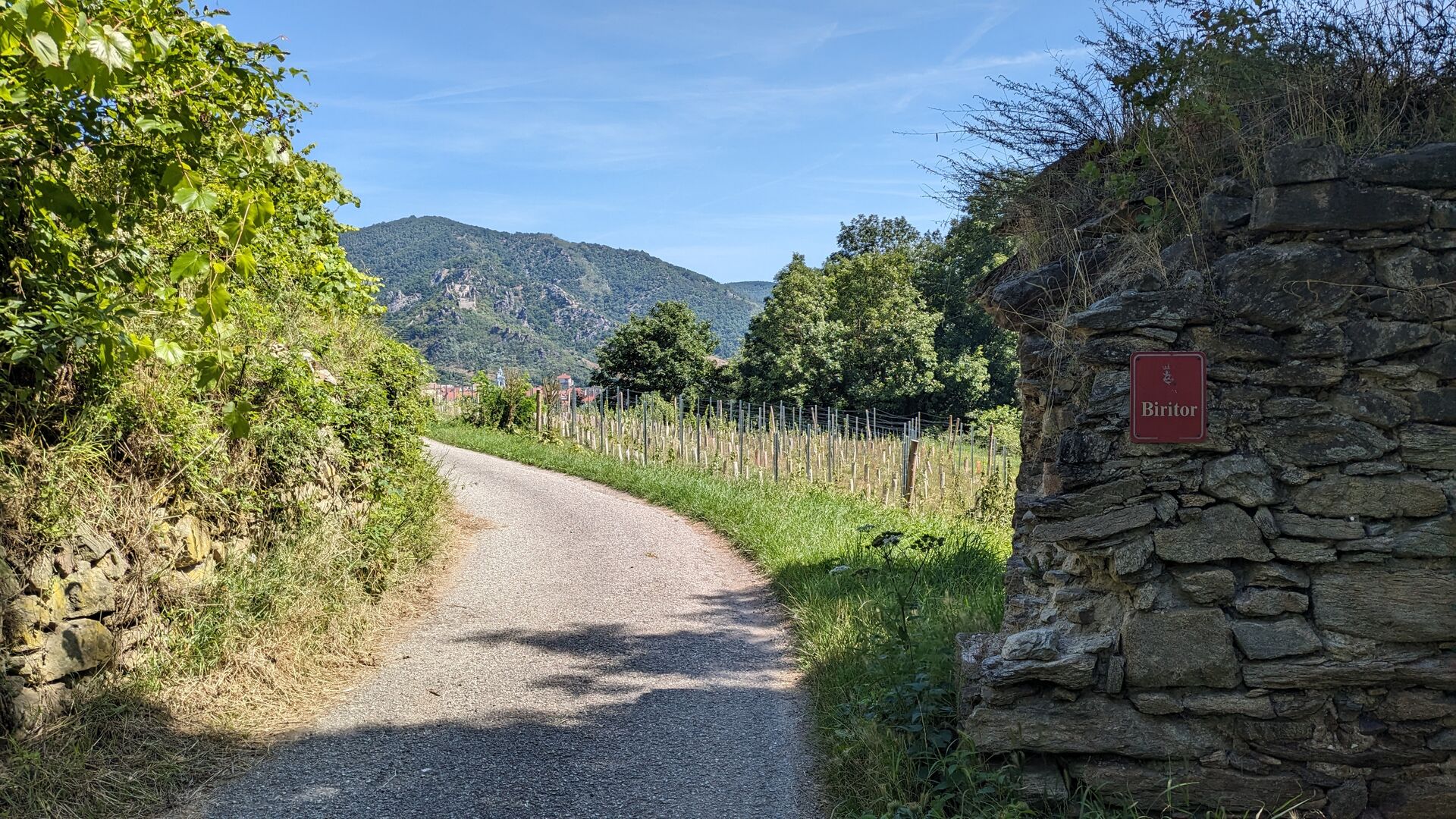 Biritor vor den Weingärten in Rossatz.
