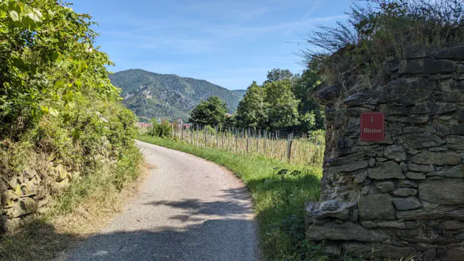 Biritor vor den Weingärten in Rossatz.