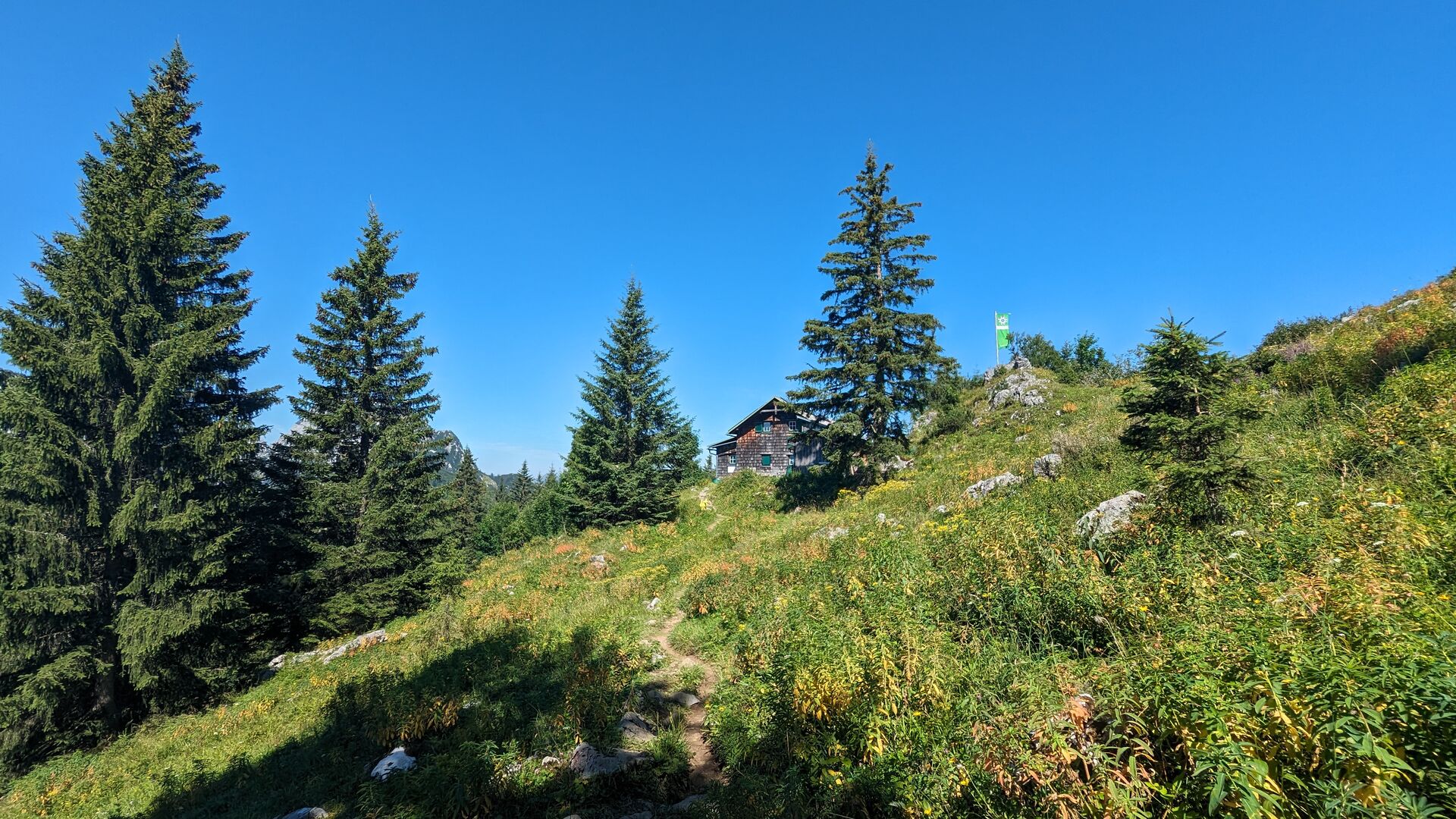 Gemütliche Ennstaler Hütte in Blumenwiese und ein paar grünen Tannen.