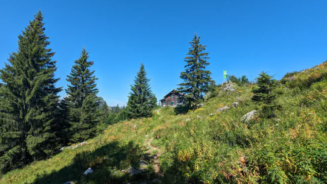 Gemütliche Ennstaler Hütte in Blumenwiese und ein paar grünen Tannen.