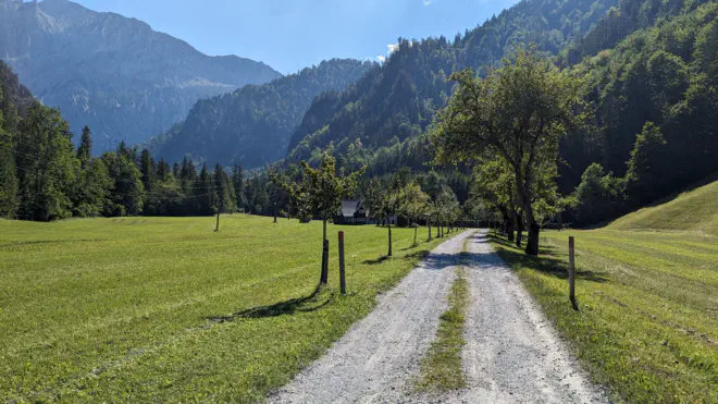 Einfahrt in den Tamischbachgraben. Obstbäume säumen die Schotterstraße