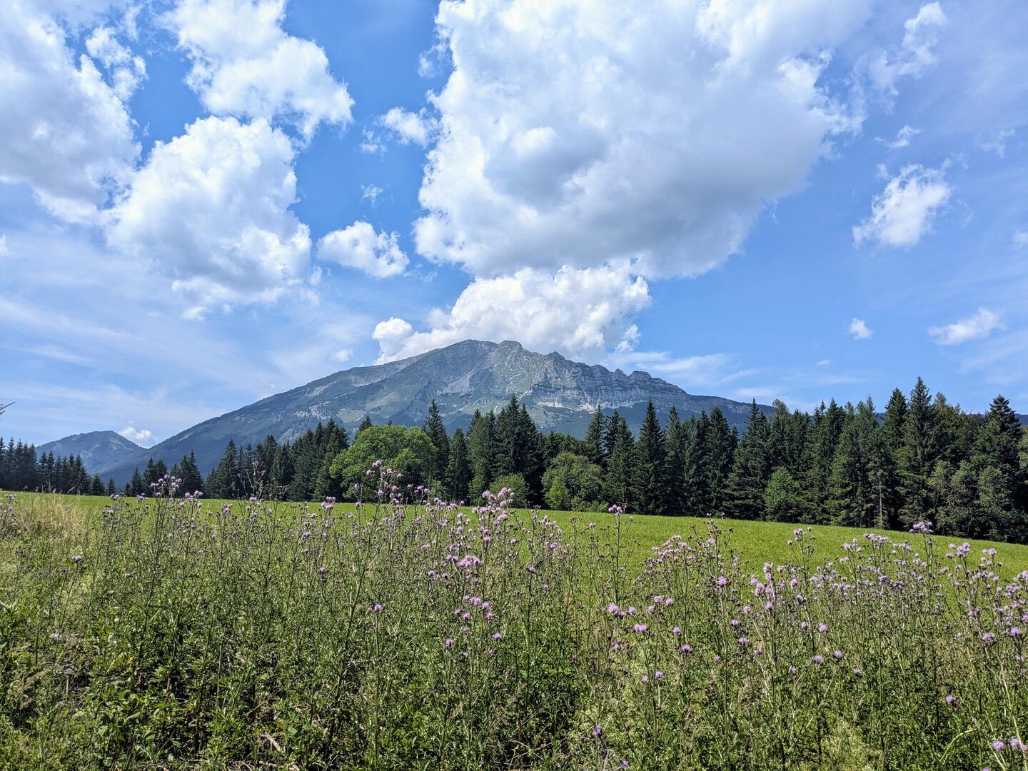 Ötschergräben – Vorderötscher