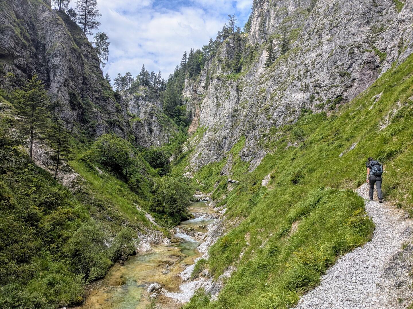 A hiker in the Ötschergräben.