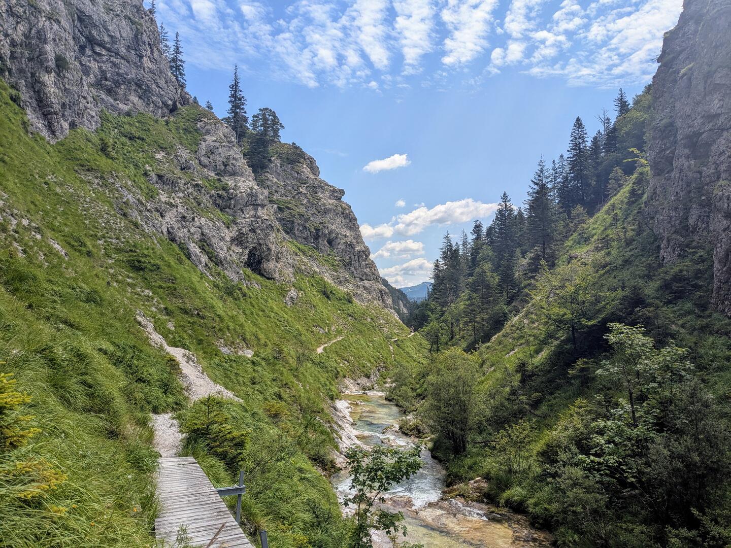 The Ötscherbach in the Ötschergräben.