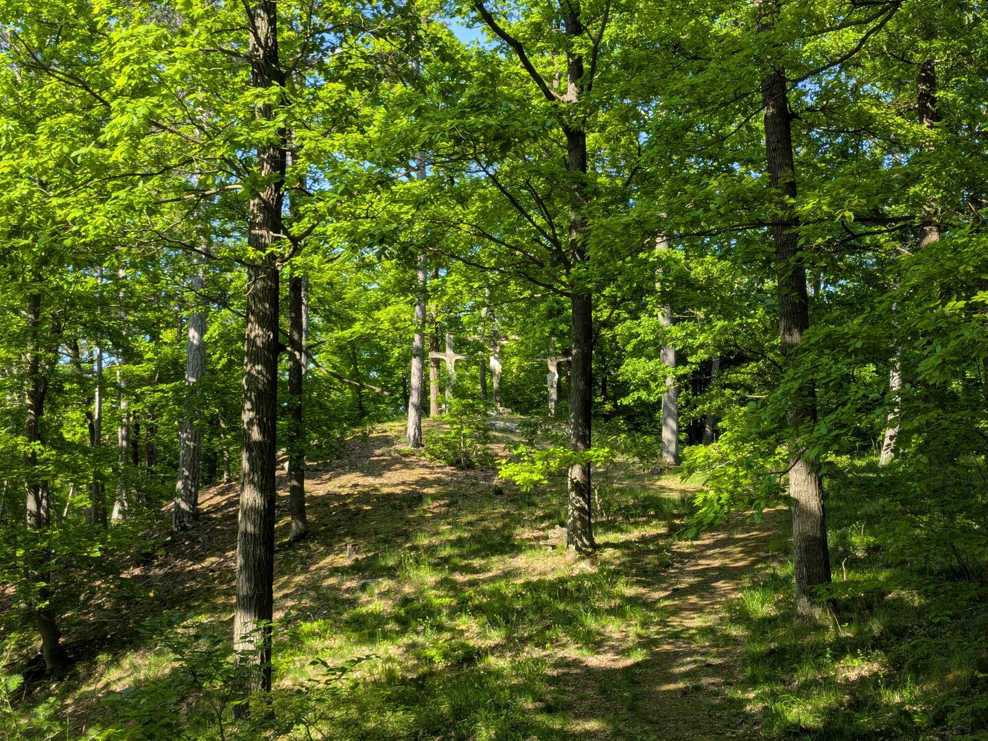 Crucifixion of Jesus in the middle of the oak forest near Aggstein high above the Charterhouse.