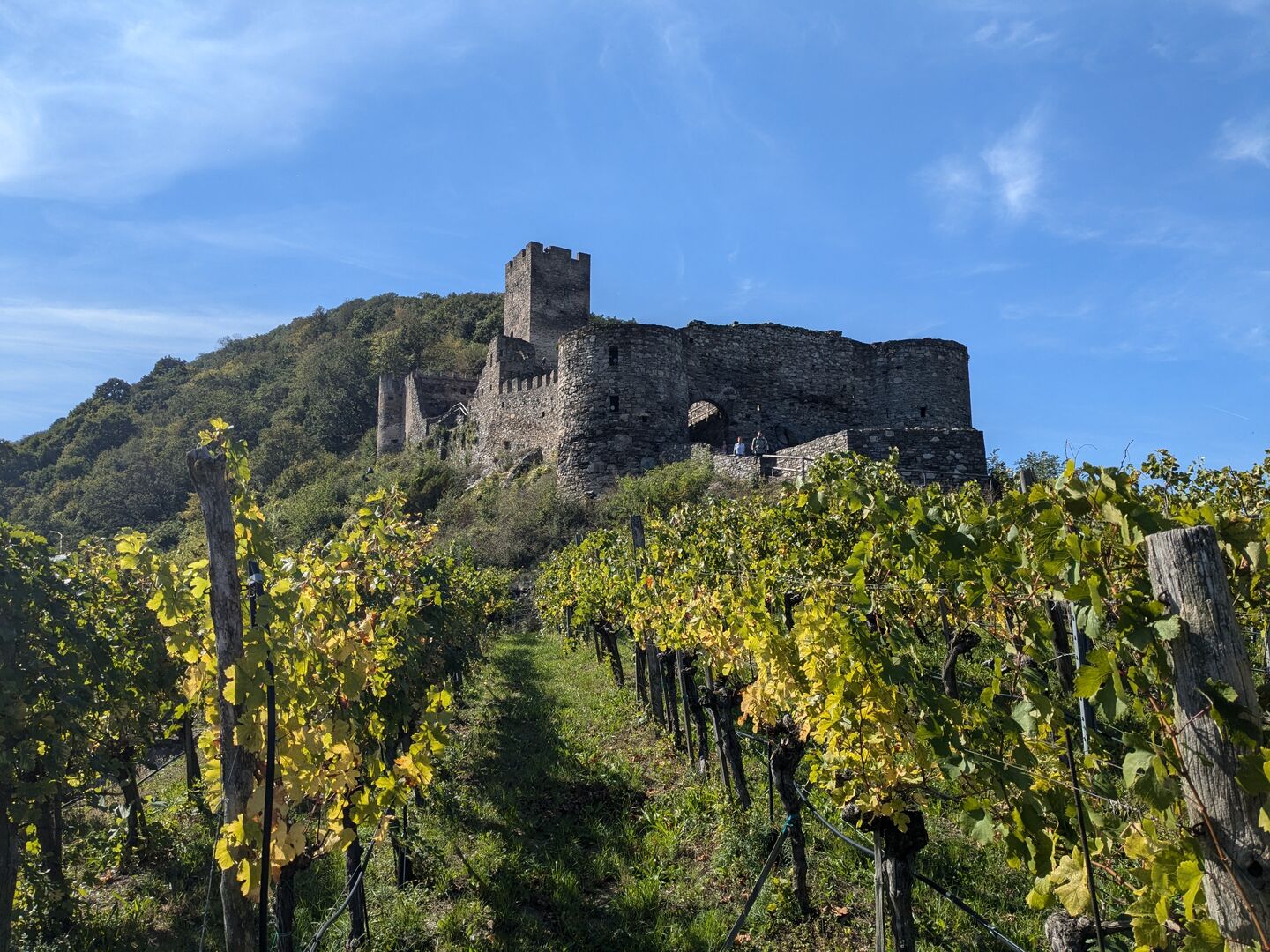 Jauerling-Runde