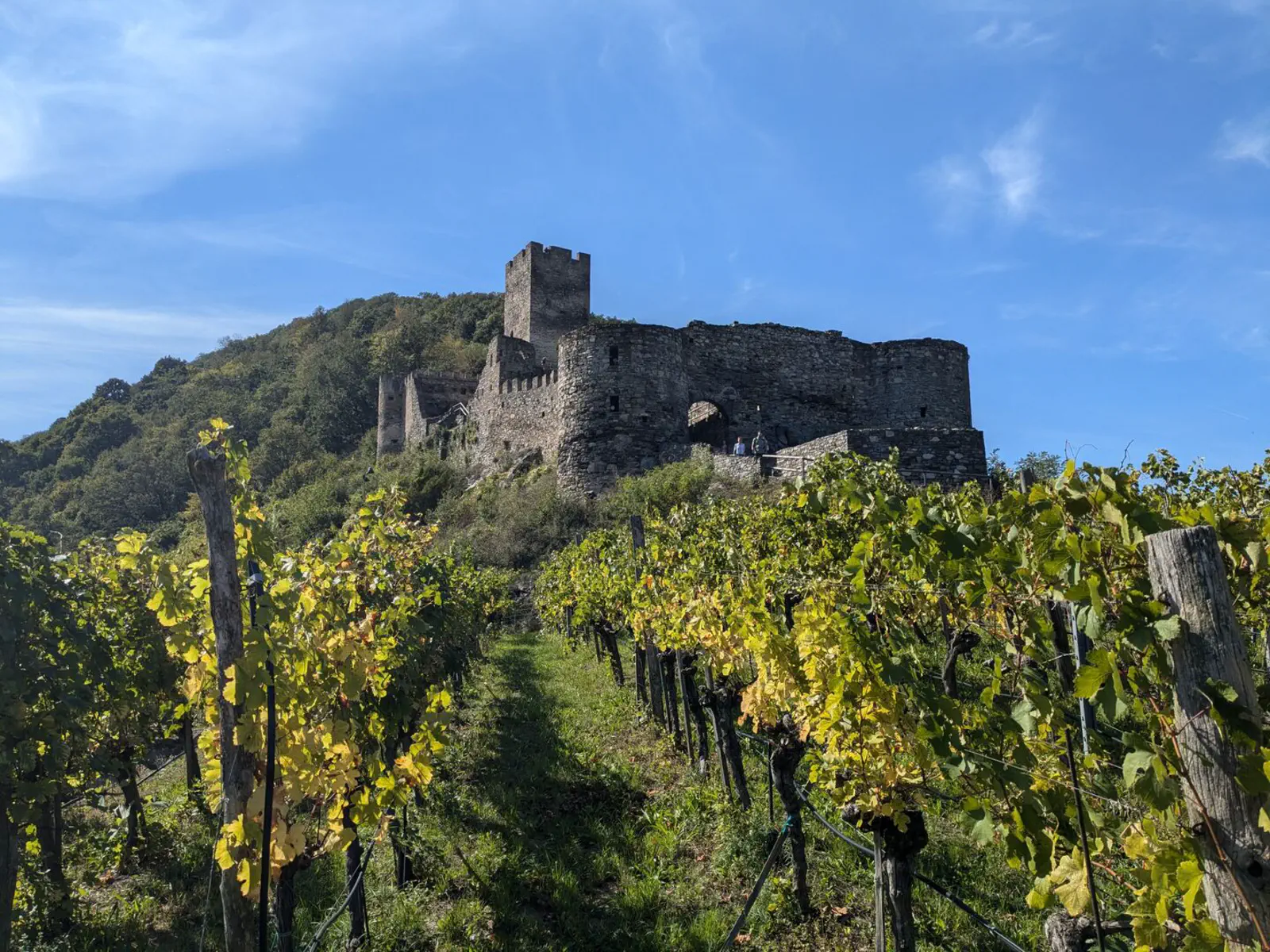 Jauerling-Runde