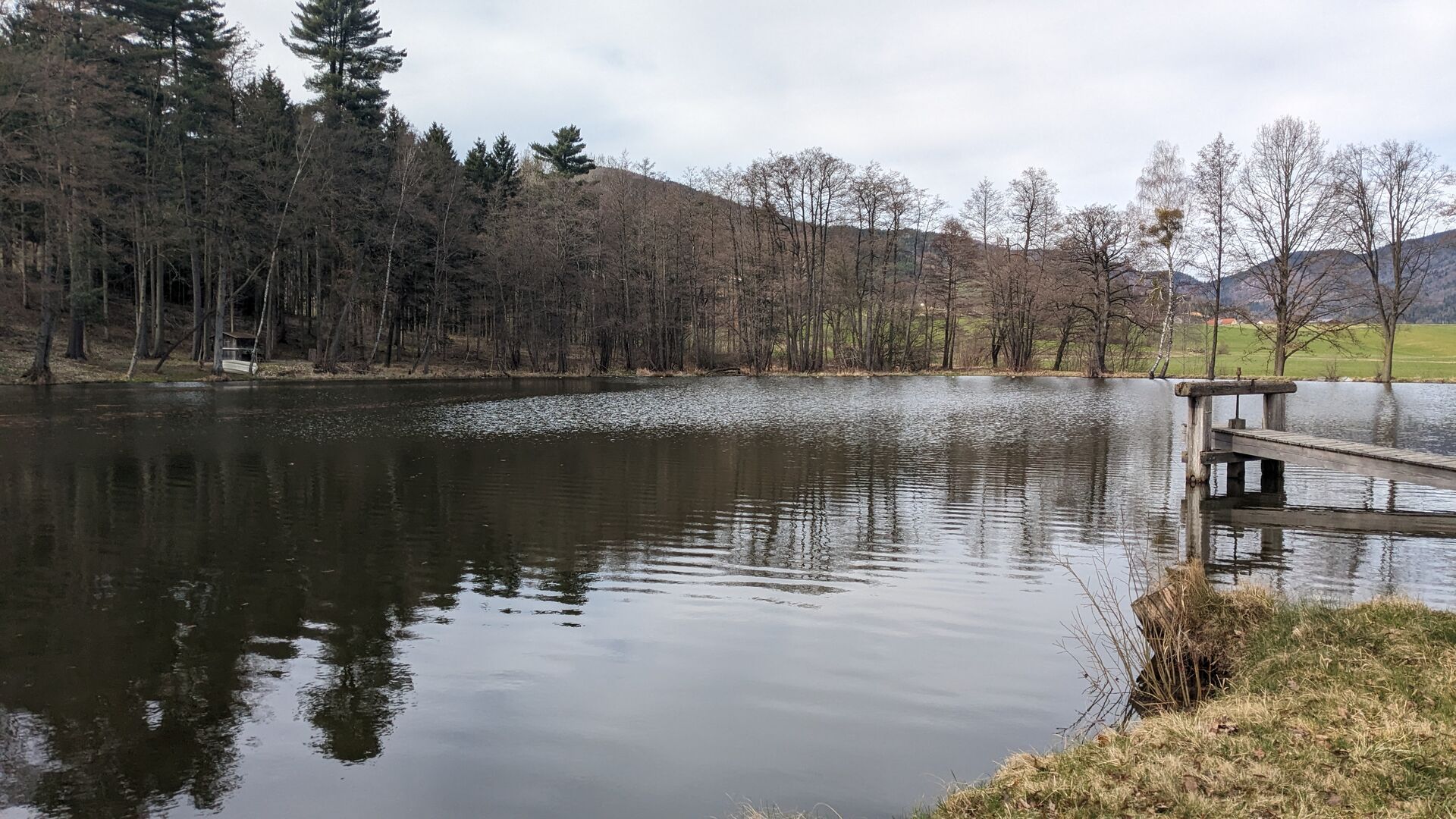 Ruhiger Puschauerteich.
