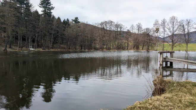 Ruhiger Puschauerteich.