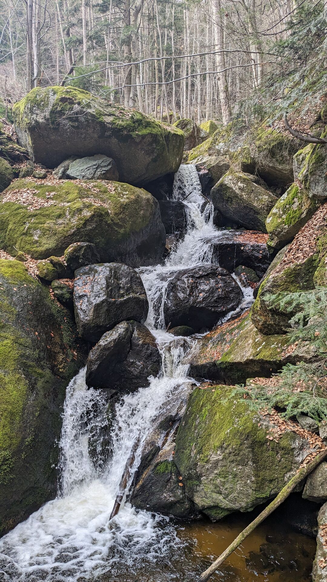 Rauschender Wasserfall in der Ysperklamm.