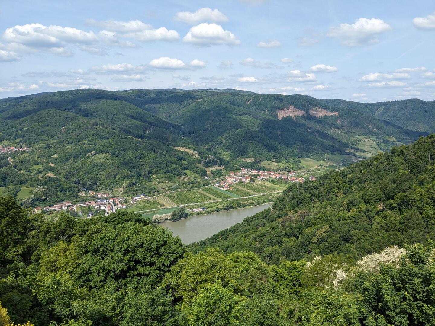 Blick über das Donautal bei Aggstein.