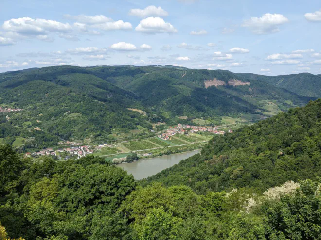 Blick über das Donautal bei Aggstein.