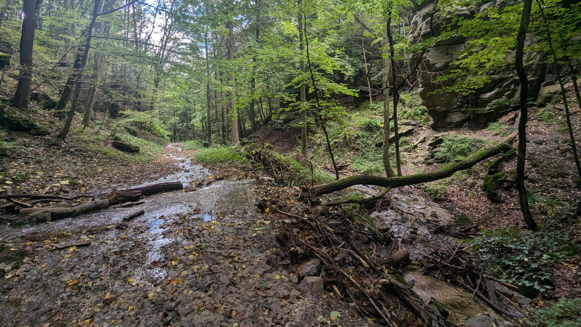 Matschiger, feuchter Römerweg bei Hofarnsdorf im Dunkelsteinerwald