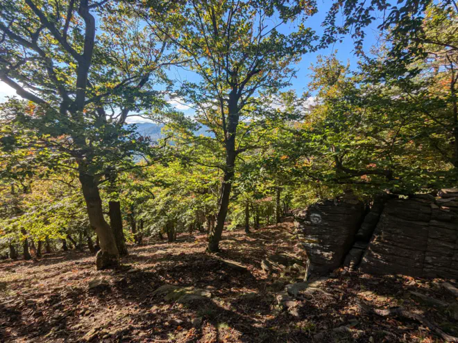 Herbstlicher Waldweg mit Stein der das Zeichen des Welterbesteiges trägt.