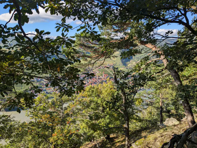 Weißenkirchen durch herbstliche Bäume.