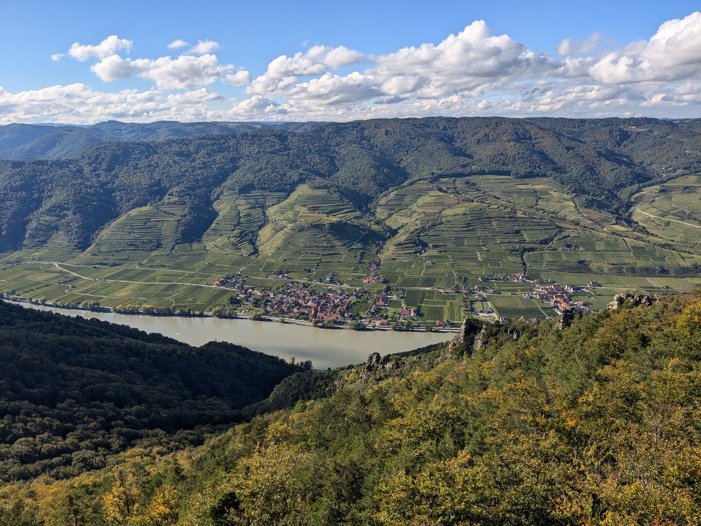 Wösendorf in der Wachau umgeben von herbstlichen Weingärten und davor die Felsen der Steinernen.