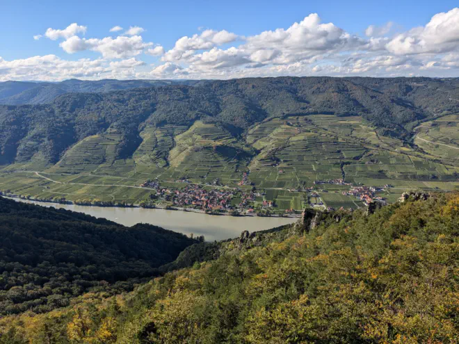 Wösendorf in der Wachau umgeben von herbstlichen Weingärten und davor die Felsen der Steinernen.