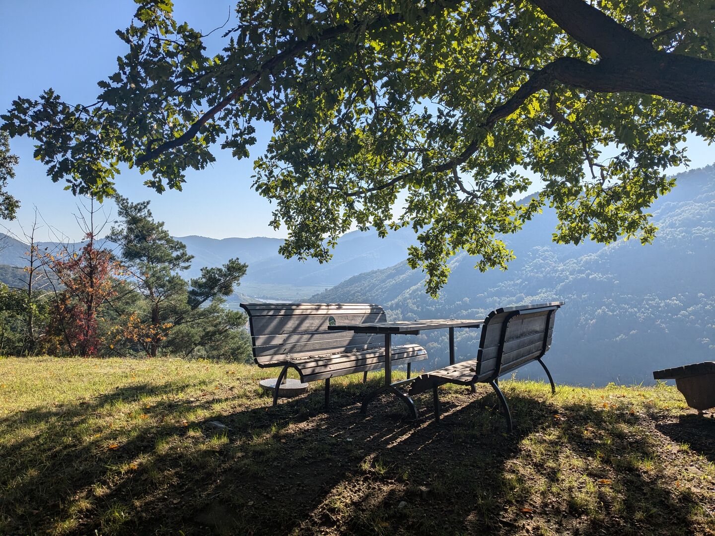 Bank bei der Zornberghütte unter großem Baum.