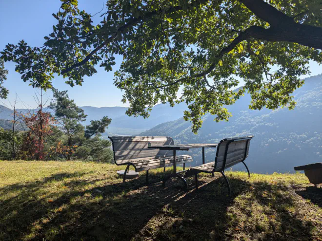 Bank bei der Zornberghütte unter großem Baum.