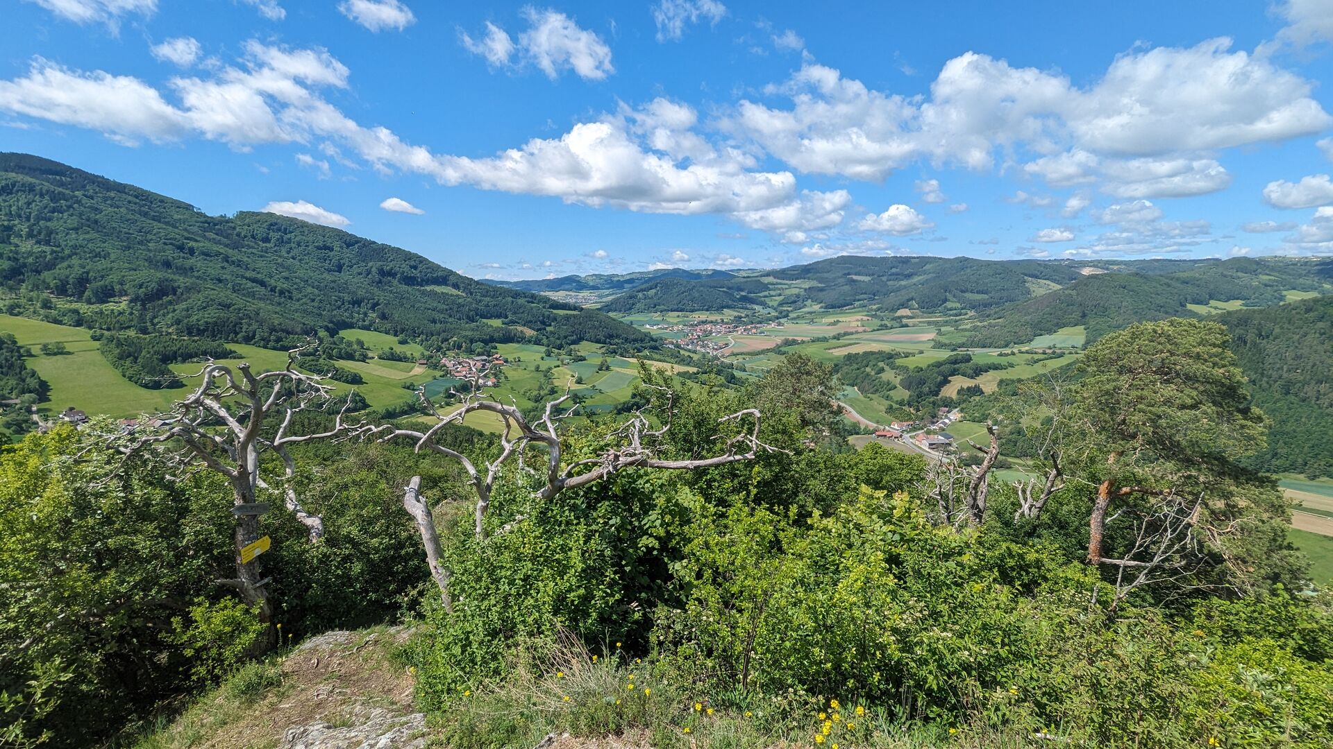 Raxendorf vom Trenning