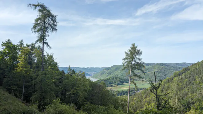 Aggstein ruin in the Dunkelsteinerwald